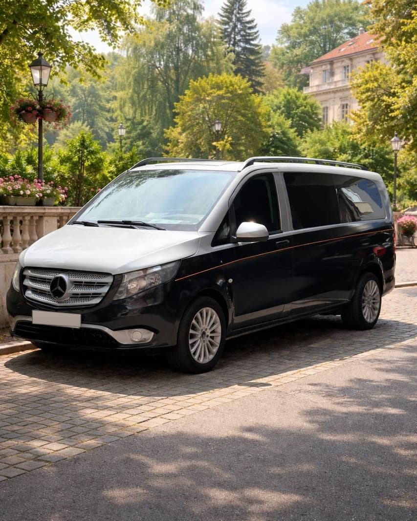 Dricul Ritual Traditional — Mercedes-Benz Vito